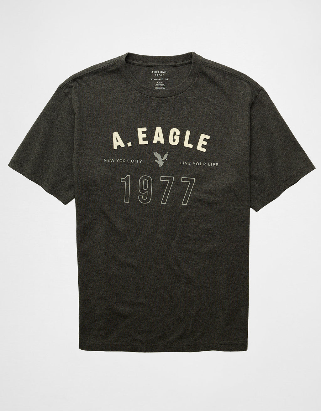 Camiseta Gráfica con Logo Ae - Generico 0181_5040_008_f