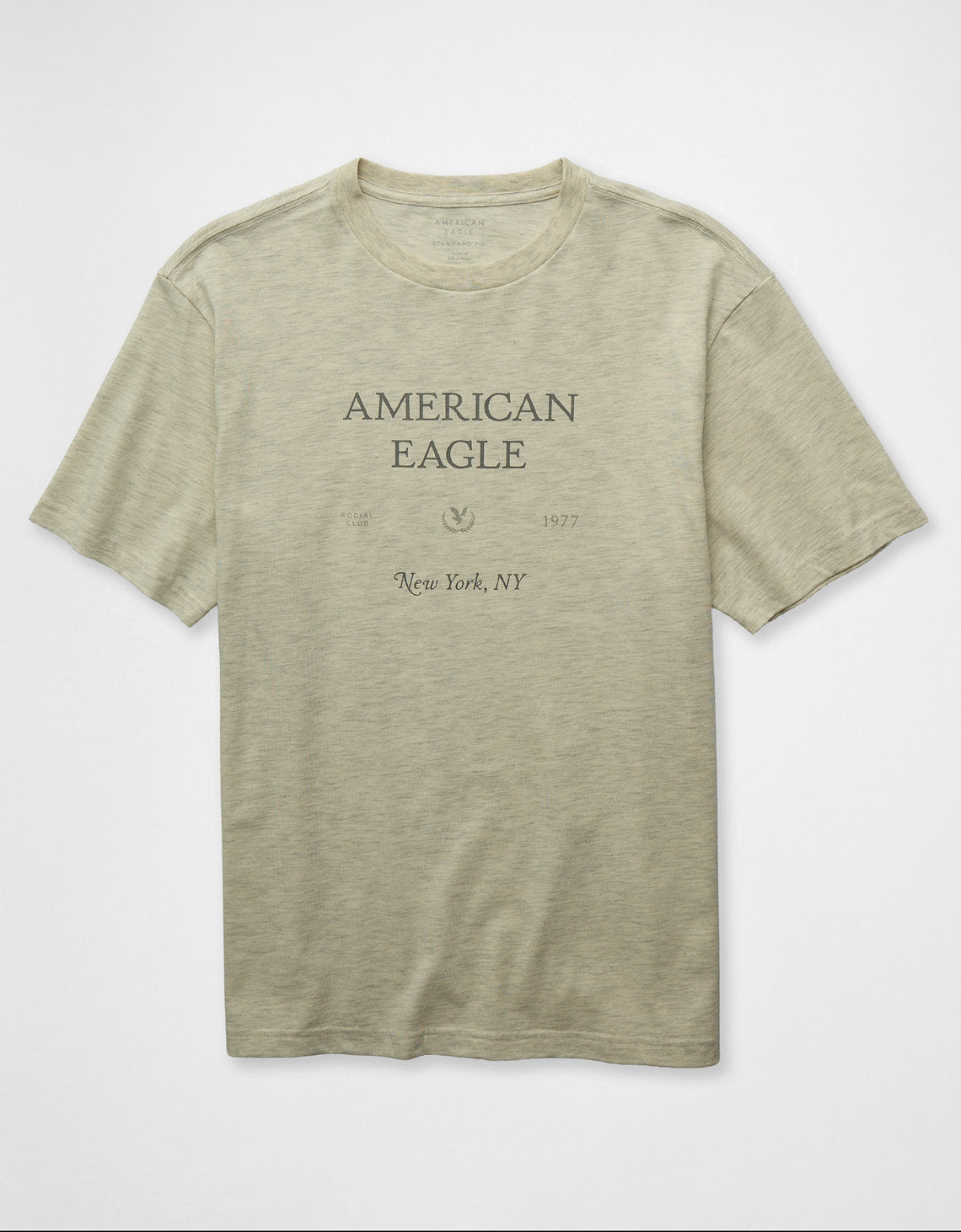 Camiseta Gráfica con Logo Ae - Gris 0181_5685_092_f