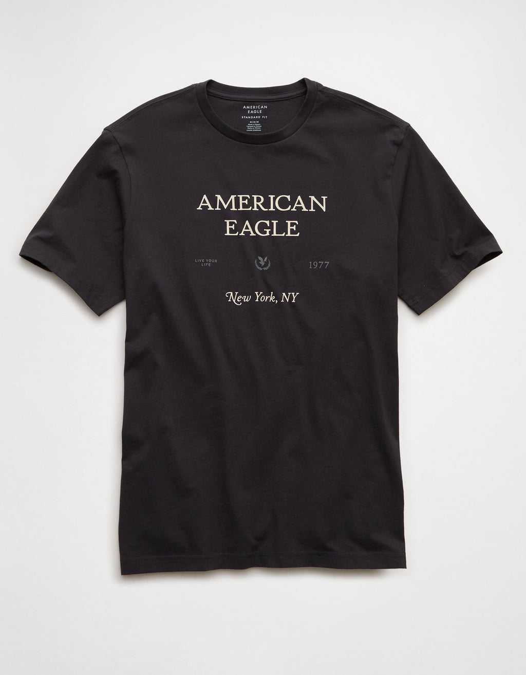 Camiseta Gráfica con Logo Ae - Gris 0181_5687_023_f