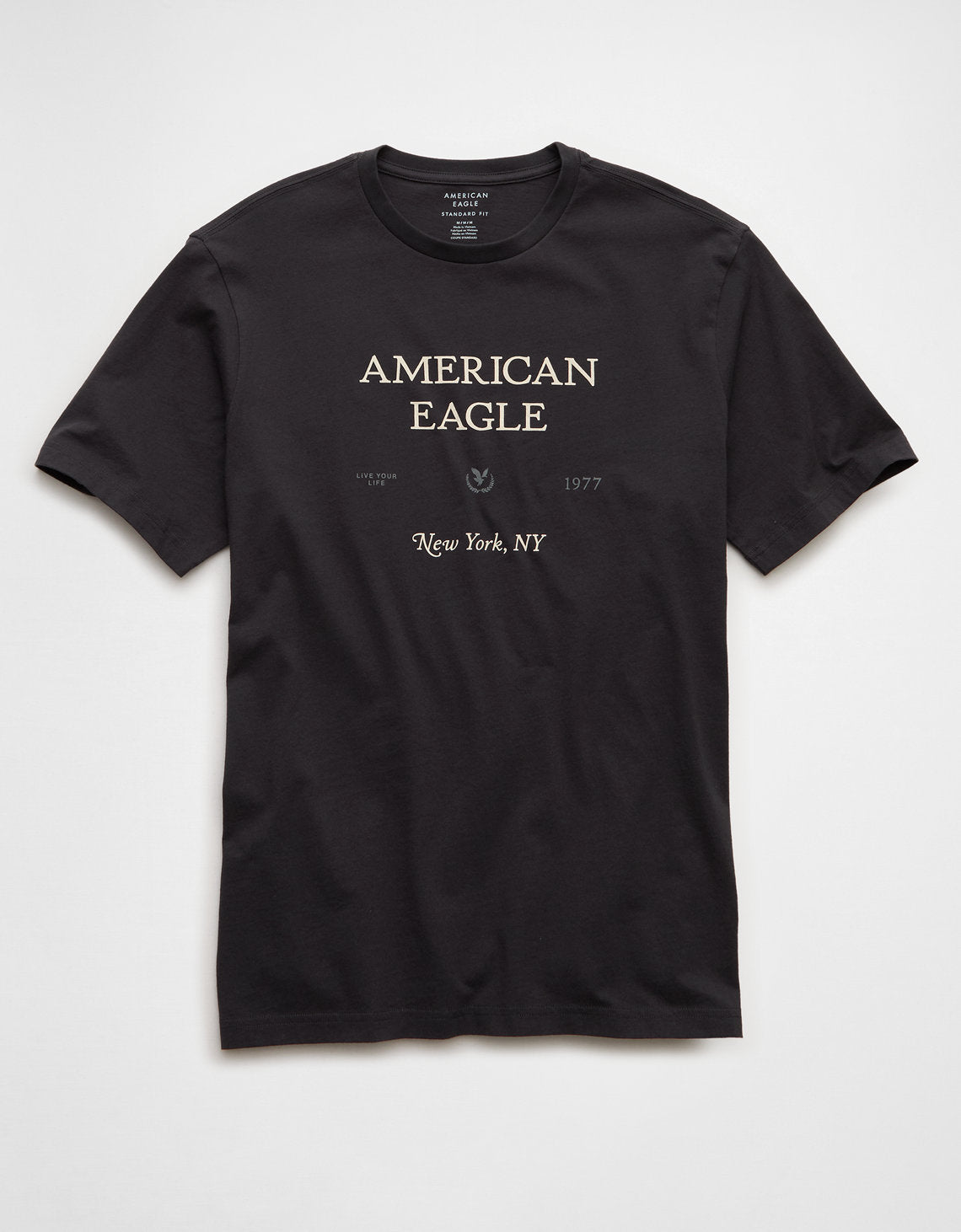 Camiseta Gráfica con Logo Ae - Gris 0181_5687_023_f