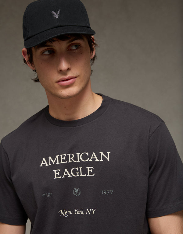 Camiseta Gráfica con Logo Ae - Gris