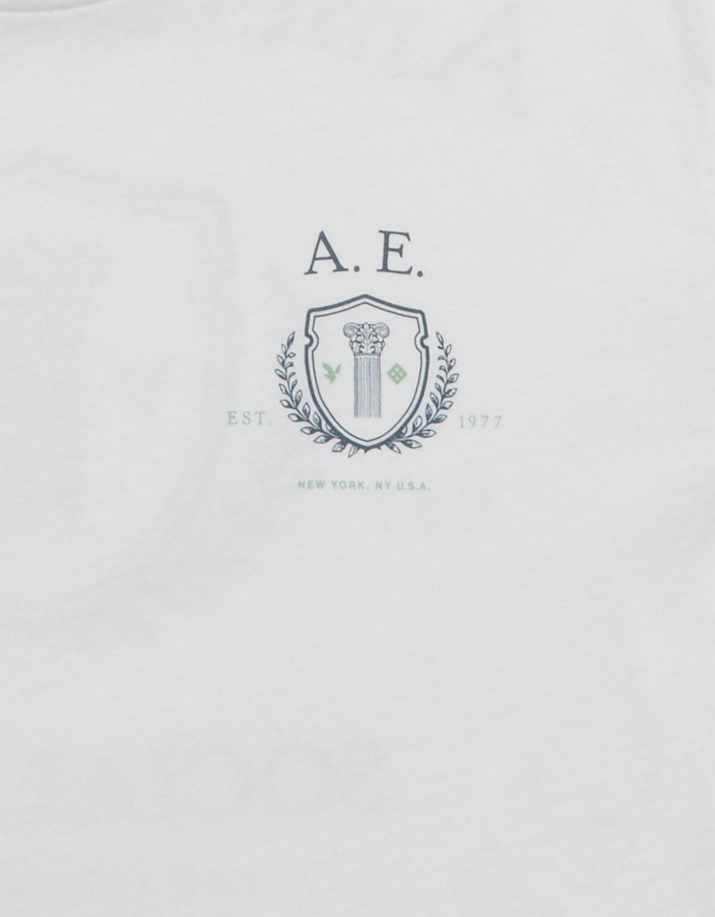 Camiseta Gráfica con Logo Ae - Blanco 0181_5687_100_d3