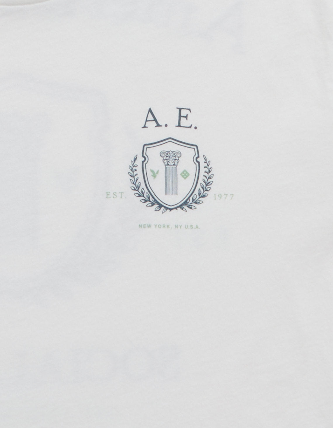 Camiseta Gráfica con Logo Ae - Blanco 0181_5687_100_d3