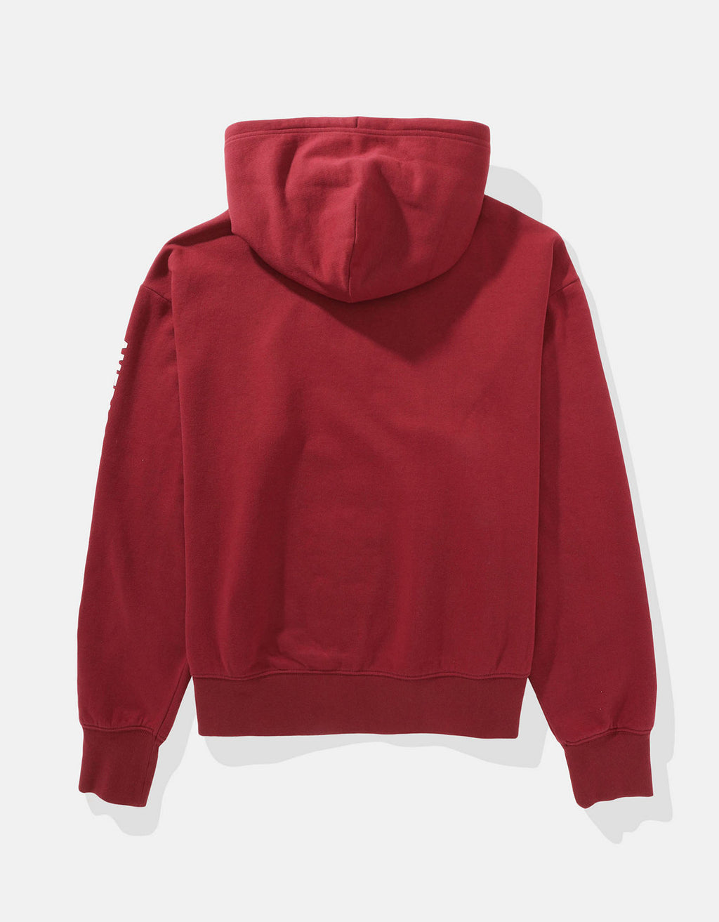 Polera con Capucha Manga Larga con gráfico Hombre AE - Generico 1192_2433_604_b