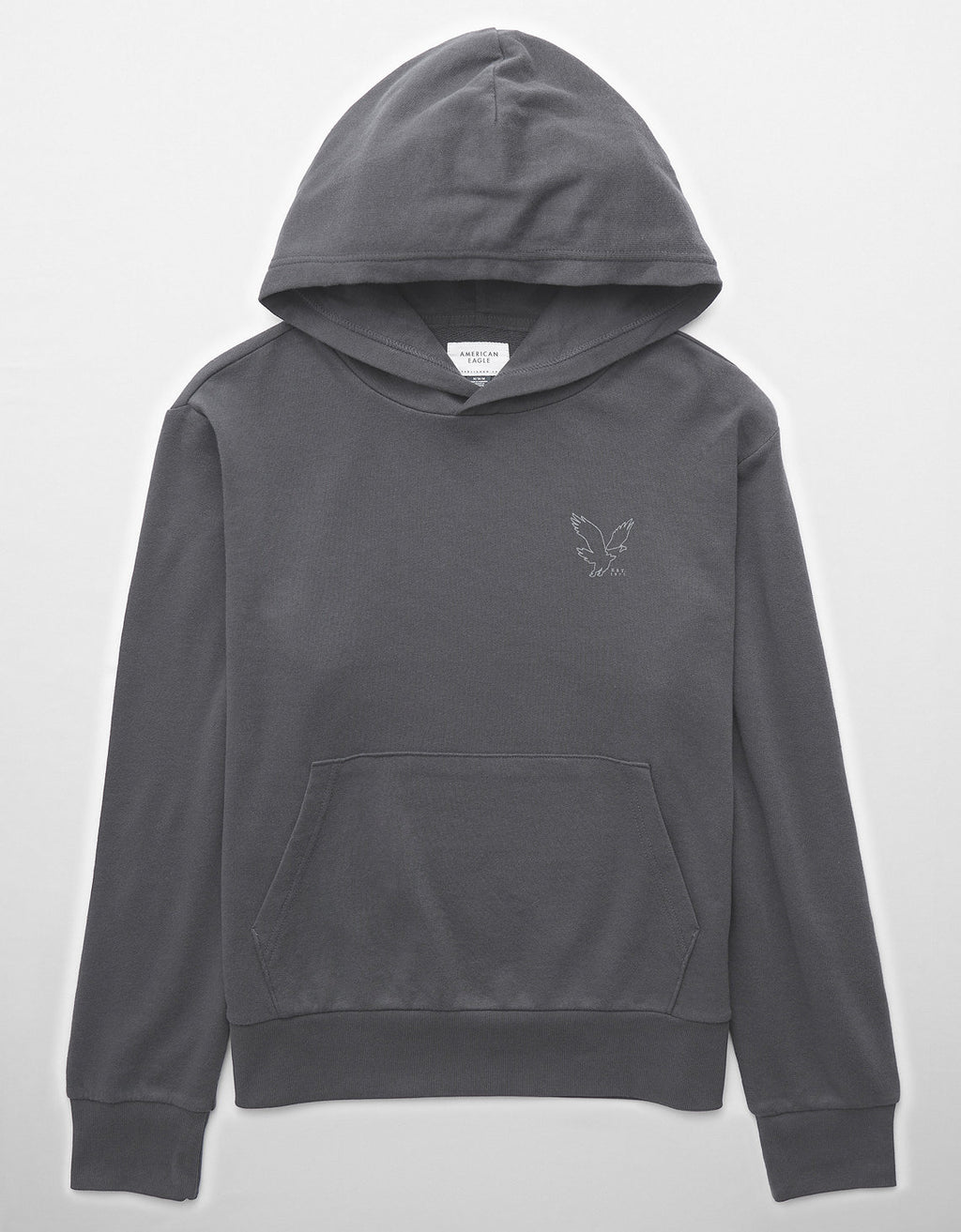 Polera con Capucha  Ae - Gris 1517_2471_020_f
