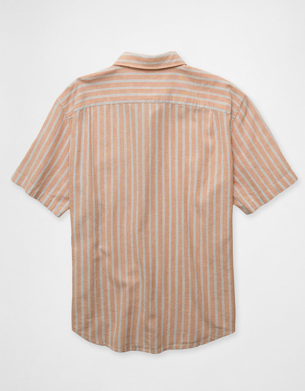 Camisa de manga corta con botones estándar Ae - Rosa 2154_3073_651_b