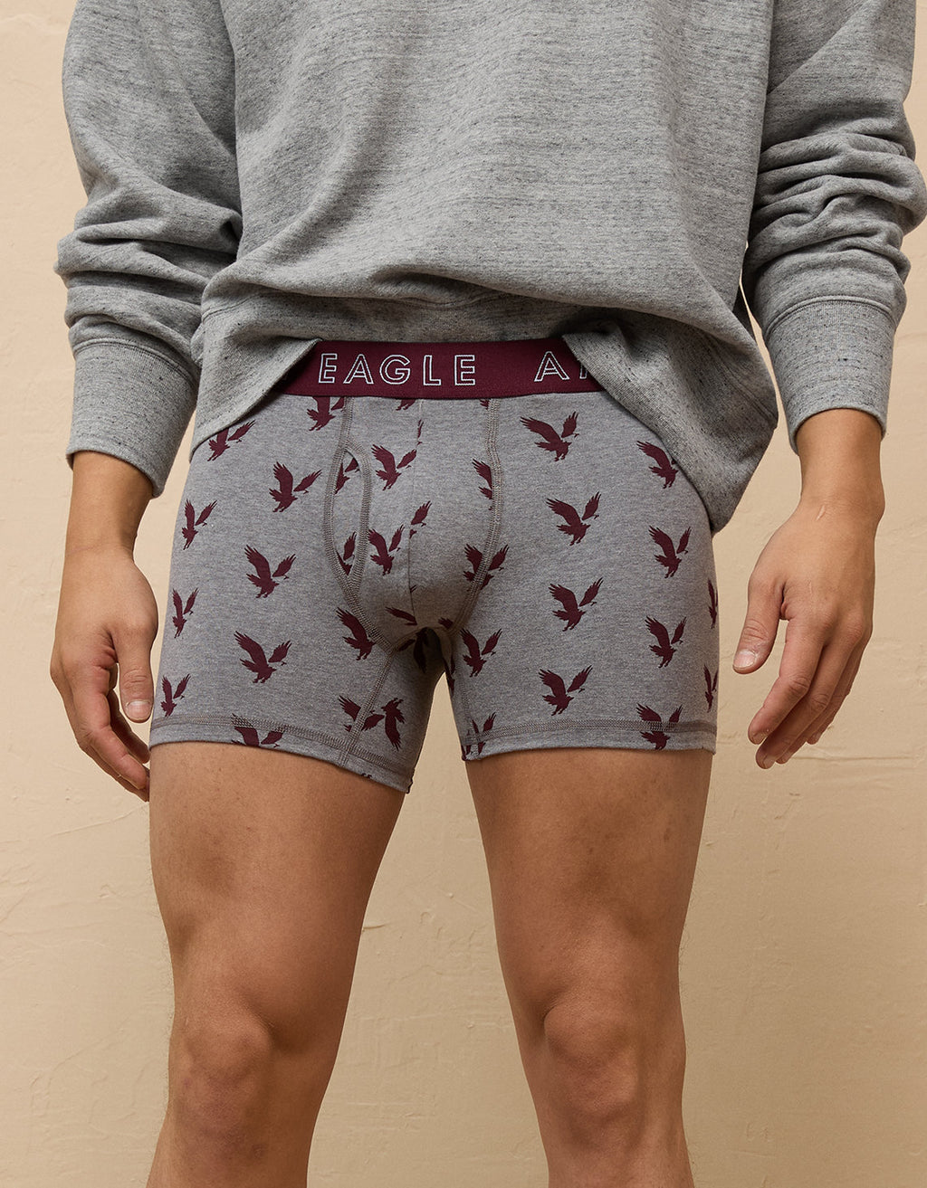 Bóxer Clásico estampado Hombre AE - Gris 3234_3992_020_of