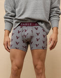 Bóxer Clásico estampado Hombre AE - Gris 3234_3992_020_of
