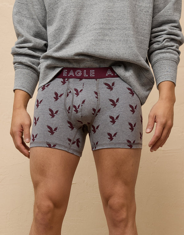 Bóxer Clásico estampado Hombre AE - Gris