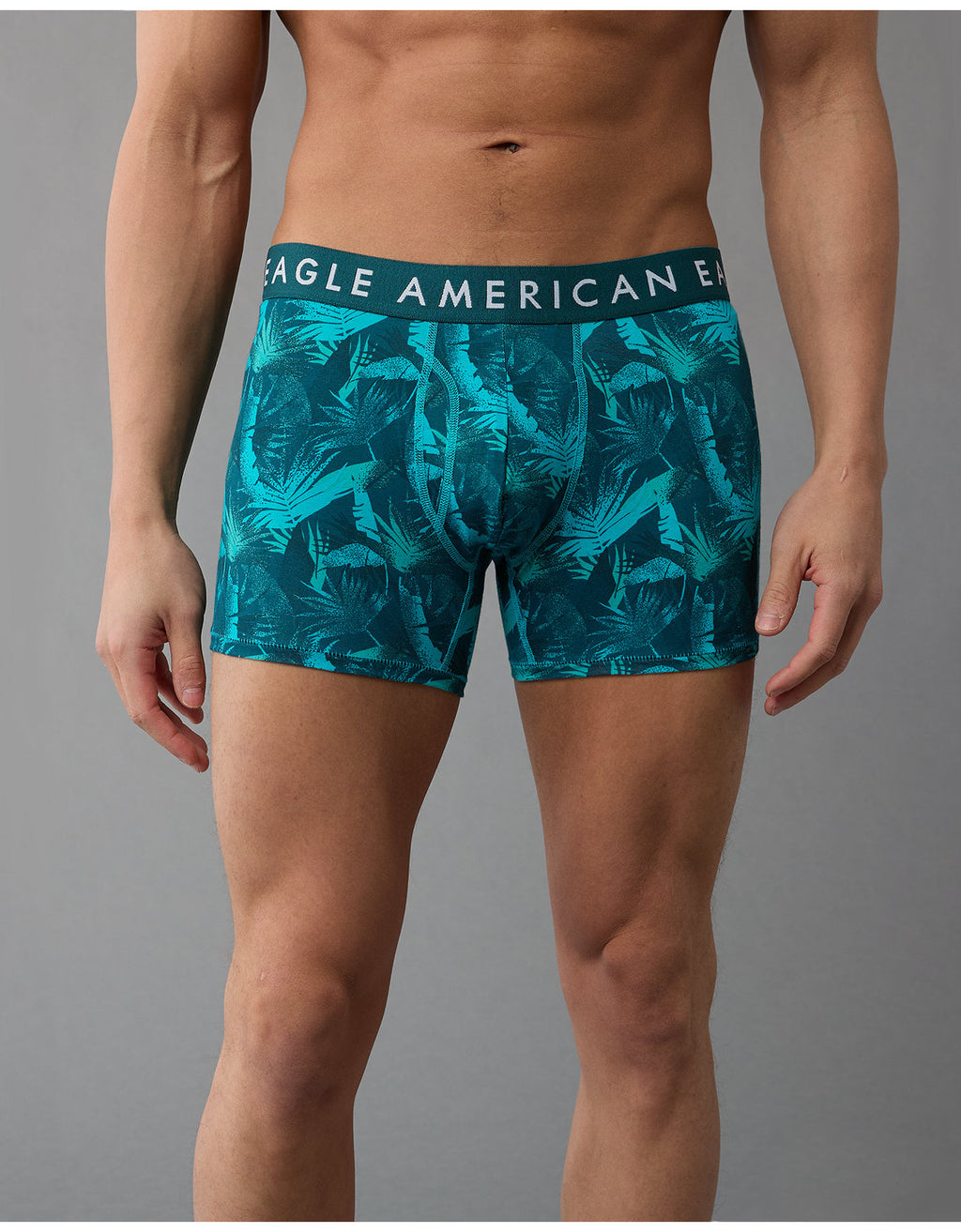 Bóxers Aeo con stretch - Verde 3234_4117_395_of